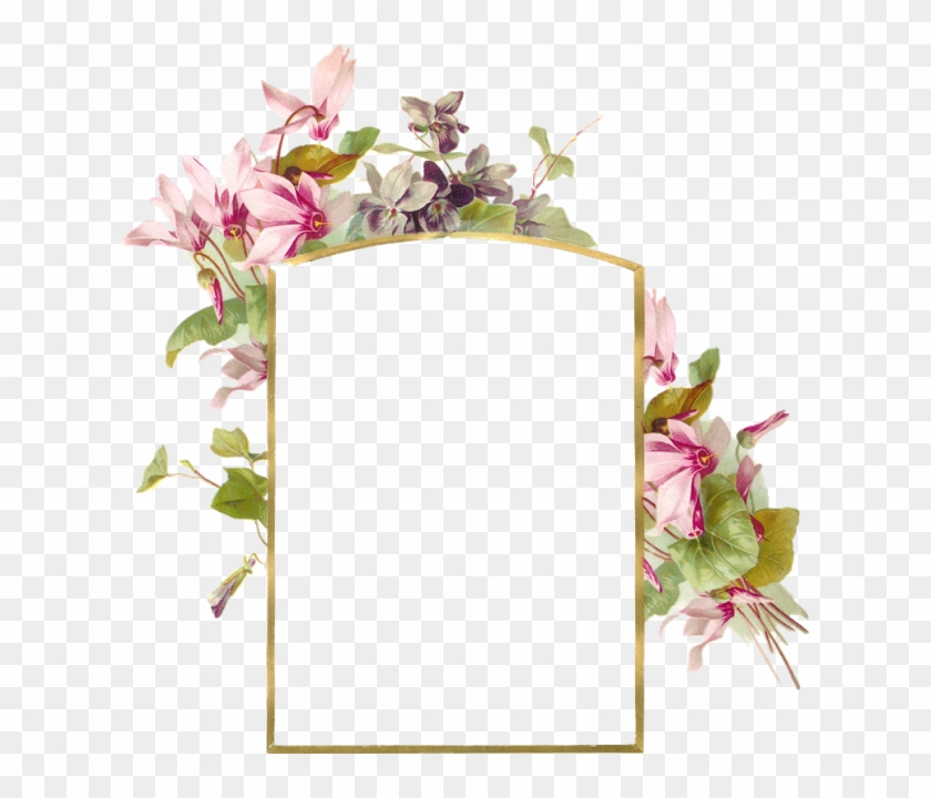 กรอบรูปดอกไม้ - Flower Borders And Frames #1161814