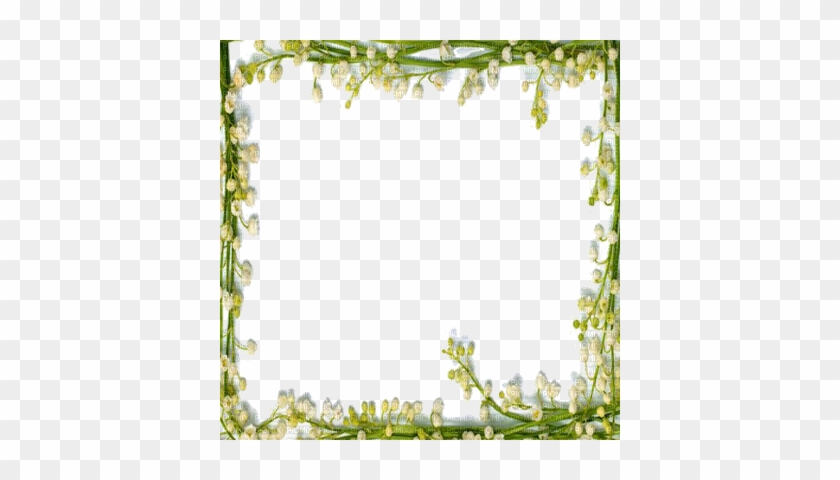 May Flower Frame Lily Of The Valley Frame - My Pleasure To Share #1161939