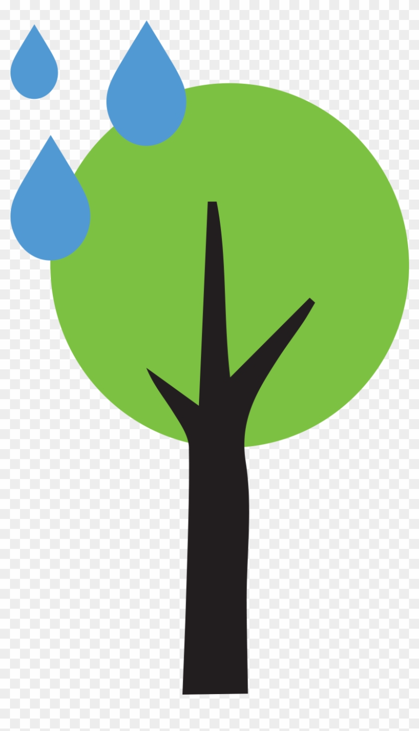 Maryland Rain Check Program - Permaculture #1162769