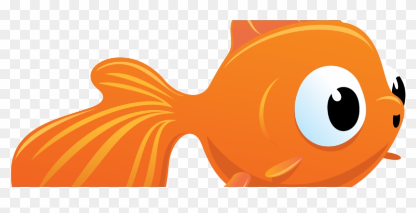Goldfish 01 - Vbs Submerged 2016 #1163368