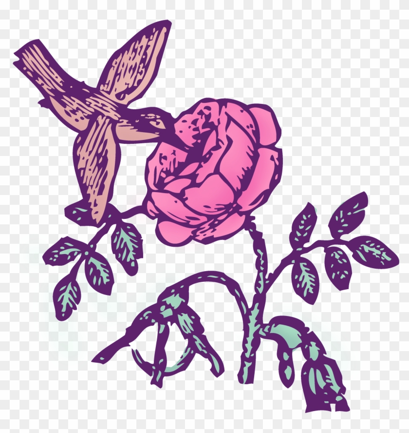 Vintage Hummingbird And Rose Clipart - Vintage Hummingbird And Rose Clipart #1163780