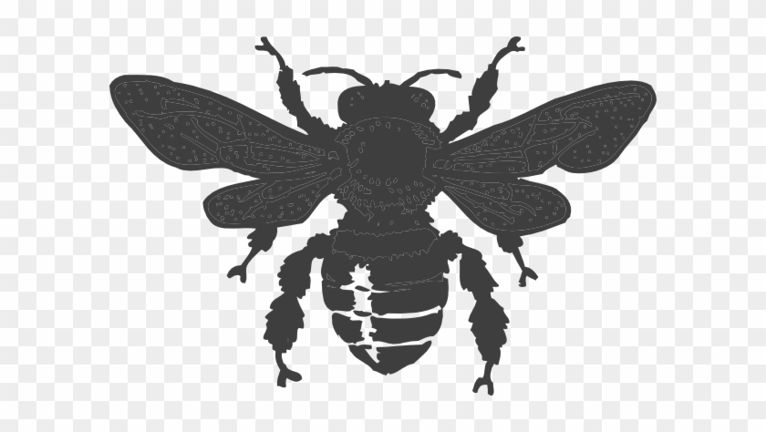 Dark Gray Bee Png Clip Arts - Dark Bee #1163857