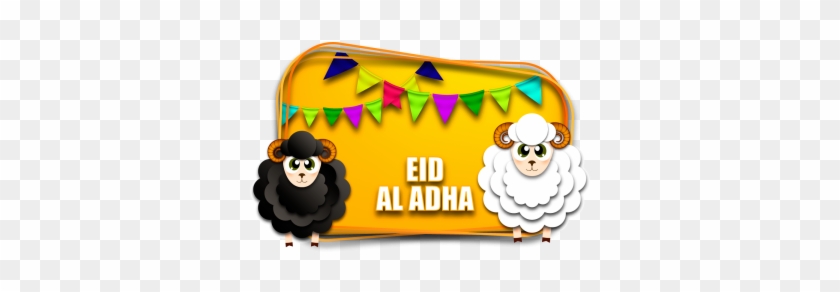 Sheep #1164252