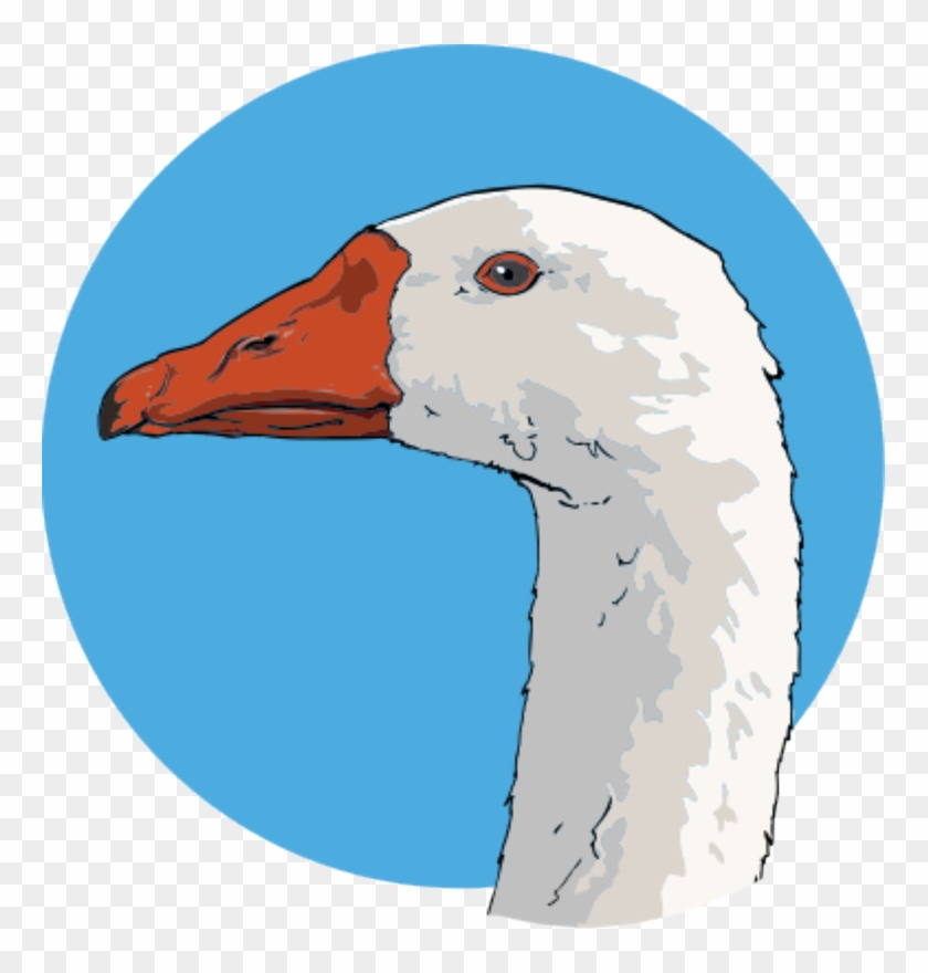 Goose Animal Clip Art Public Domain Free Image Cc Png - Goose From Charlotte's Web #1164347