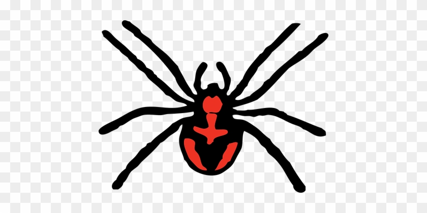 Spider, Creepy, Arachnid, Fear, Horror - Spider Clipart #1165053