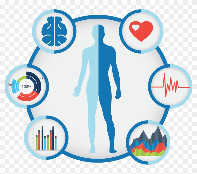 Minddep Draws On Brain And Body Based Scientific Assessment - Organ #1165156