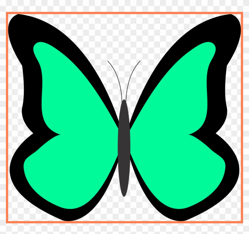 Amazing Pin By Carrie Kirk On Craft Image For Clipart - Different Color Of Butterfly Clipart #1165177