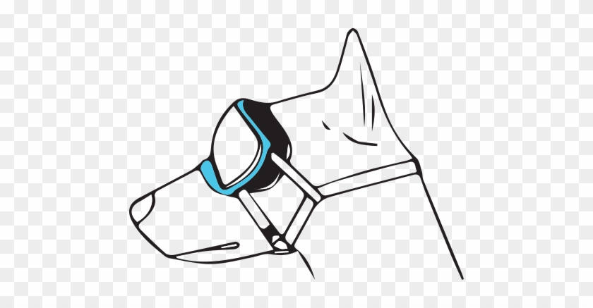 Training Tips - Rex Specs Dog Goggles - Blue - Original - Smoke Lens #1165699