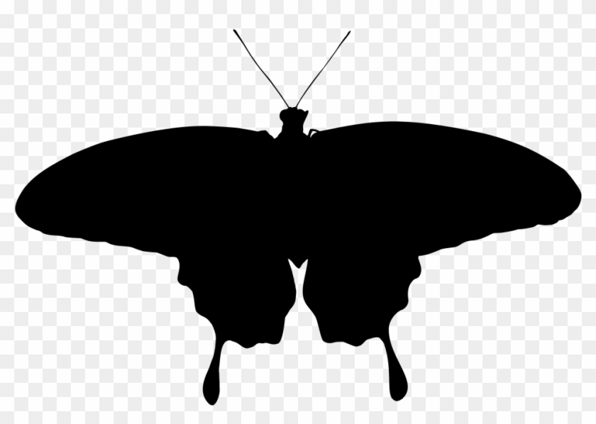 Butterfly Silhouette - Clip Art #1165998