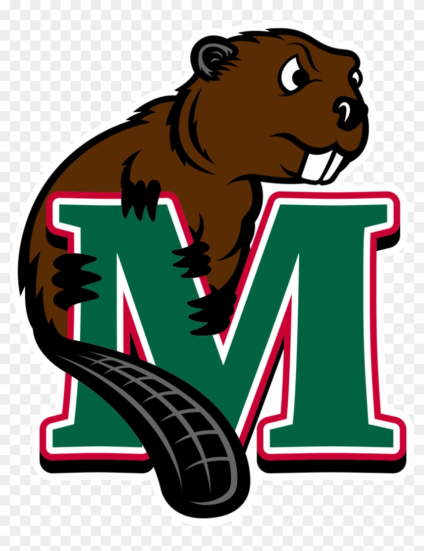 Minot State University Beavers #1166530