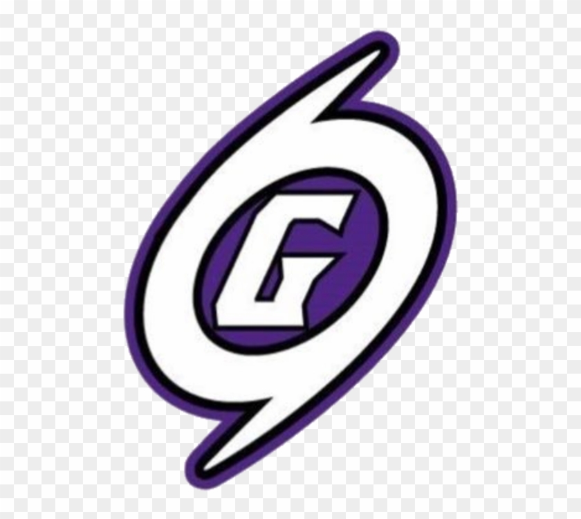 Gainesville Logo - Gainesville High School Logo #1166820