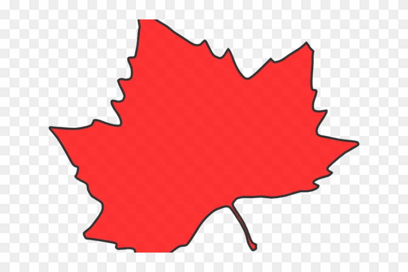 Maple Leaf Clipart - Clip Art #1166849