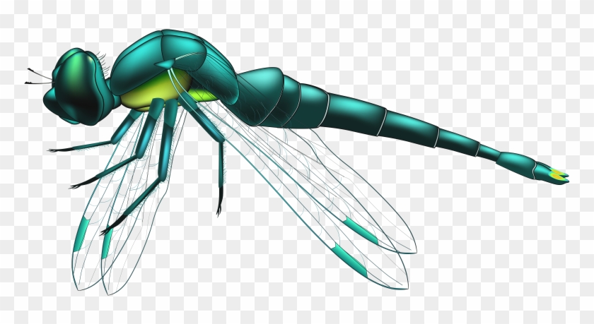 Pin Dragonflies Clip Art - Dragonfly Png #1167002