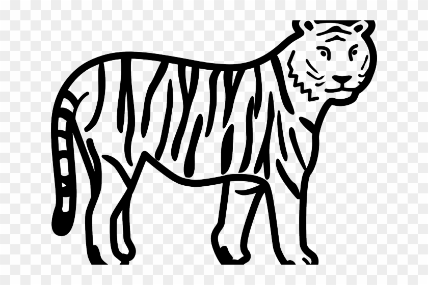 White Tiger Clipart Colouring Sheet - Easy To Draw Tiger #1167216