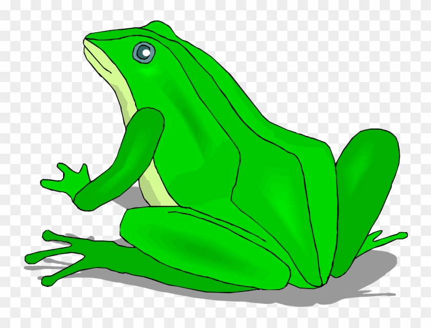 Bright Green Frog - Bufo #1167495