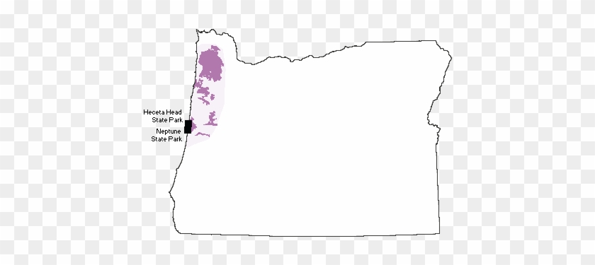Coast Range Volcanoes - High Cascade Oregon #1167706
