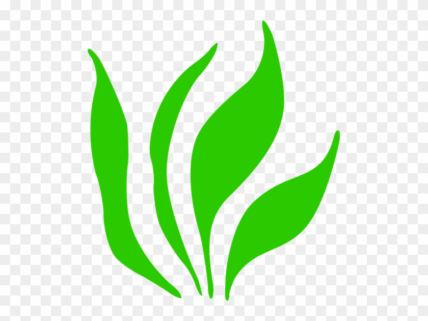 Grass Png Icon #1167752