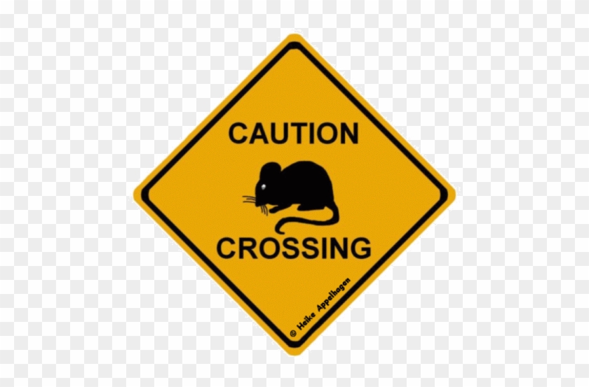 Caution Mouse Vorschau ] - Bike And Pedestrian Safety #1167894