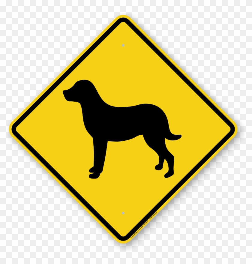 Horse Crossing Sign #1168012