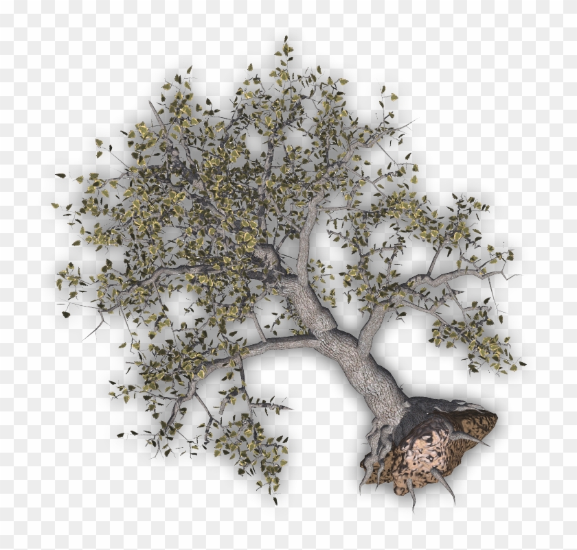 Uprooted Tree Clipart - Uprooted Tree Clipart #1168184