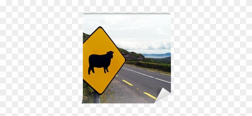 Sign Of Attention Crossing Sheep In Ireland Wall Mural - Sheep Sign #1168286