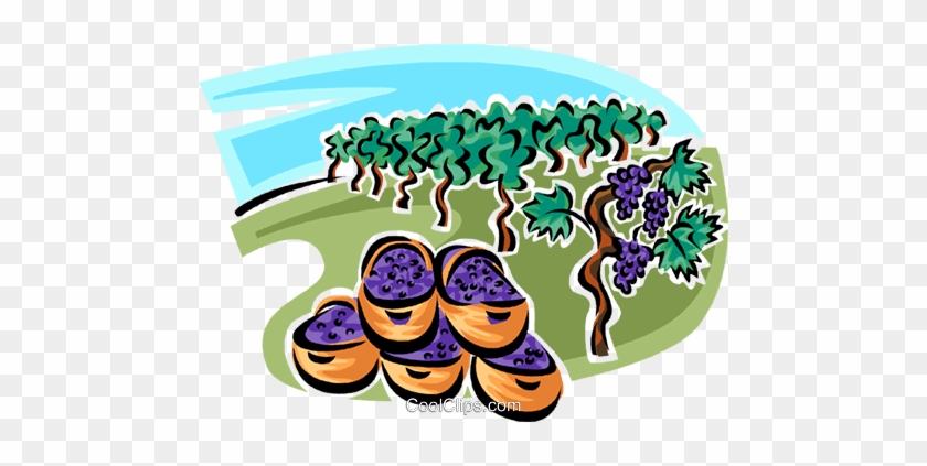 Blueberries Royalty Free Vector Clip Art Illustration - Blueberries Royalty Free Vector Clip Art Illustration #1168401