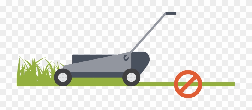 Avoid Cutting The Grass Too Short When It's Very Hot, - Lawn Mower #1168627