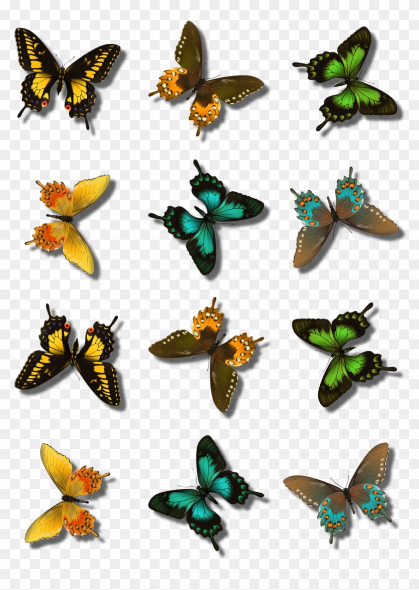 Butterfly Tube Converted To Animated Brush - Papilio #1168645