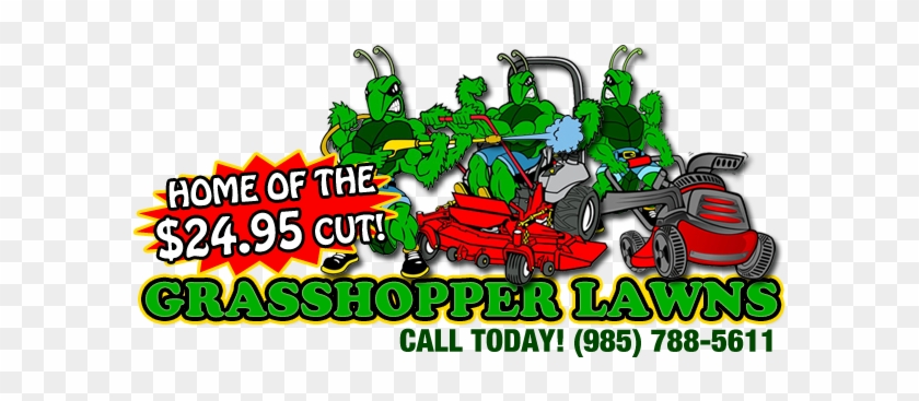 Grasshopper Lawns Official Newsletter Grasshopper Lawn - Pokemon Quagsire #1168761