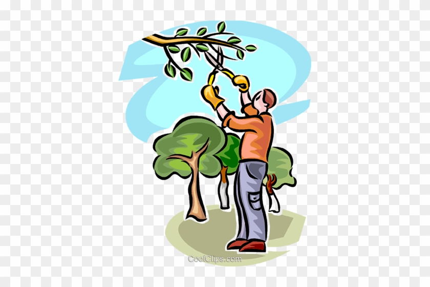 Tree Service Clip Art - Tree Trimming Clip Art #1168788