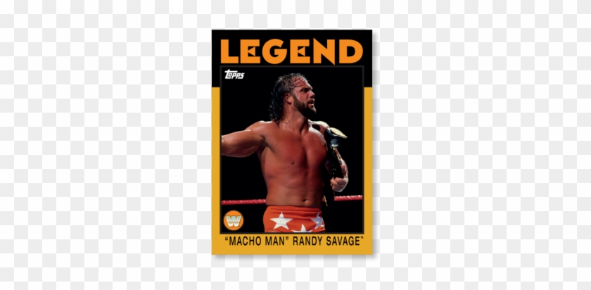 Randy Savage Free Png 15 Png Images - 2016 Topps Heritage Wwe Ricky The Dragon Steamboat #1168798