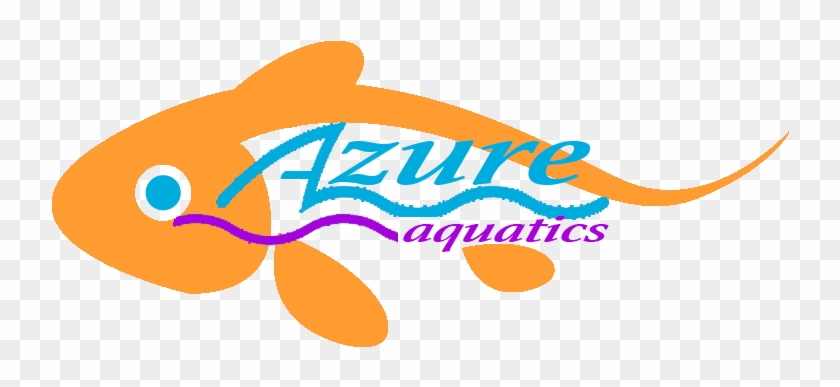 Photo Of Azure Aquatics Llc In Fair Lawn City, New - Coral Reef Fish #1168996