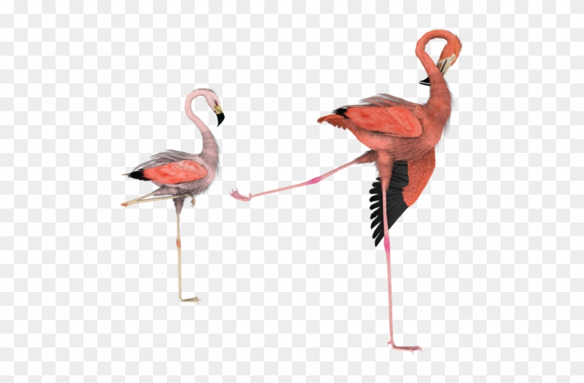 Kick It Out Flamingo Bird Png By Madetobeunique - Flamingo Bird Render #1169493