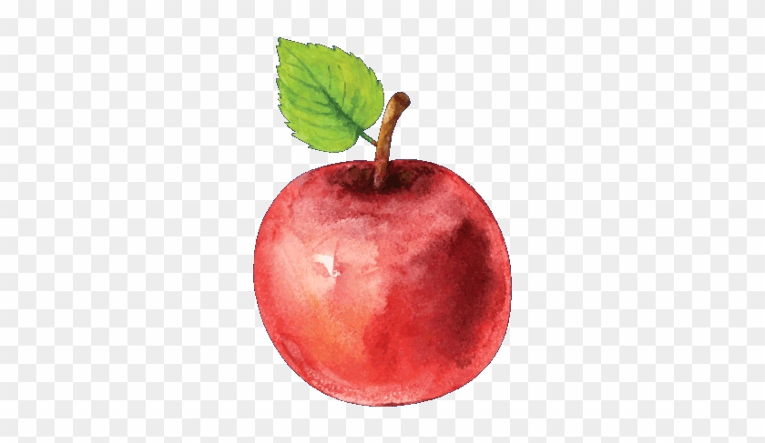 Apple #1169602