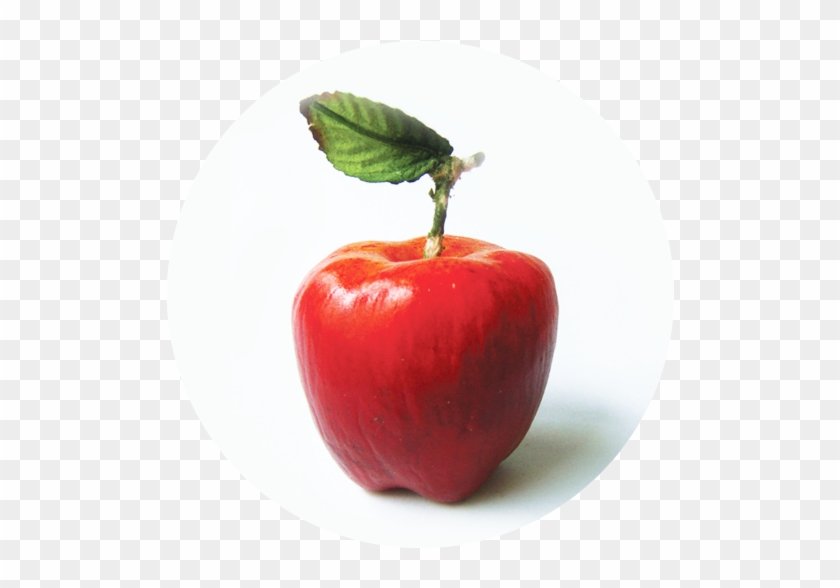 M-303 Red Apple - Apple #1169631