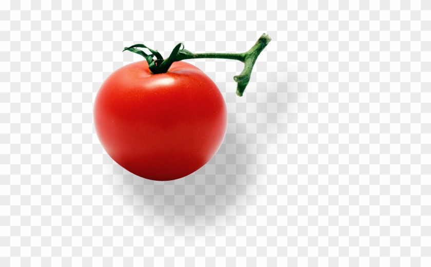Shadow Cherry Apple - Tomato #1169634