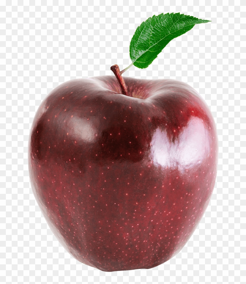 Red Chief - Apple #1169651