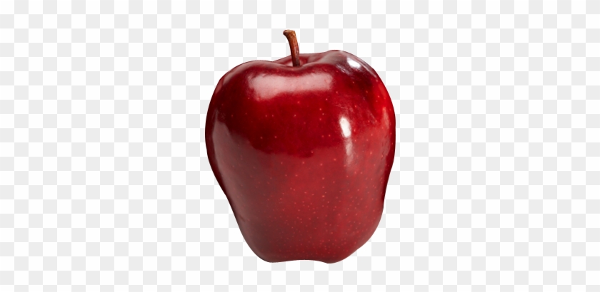 Enjoy The Healthy World Of Apples - Db Intl Stock Brokers #1169667