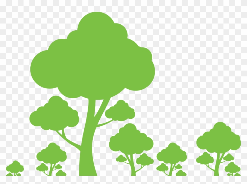 Did You Know - Ways To Conserve Trees #1169863