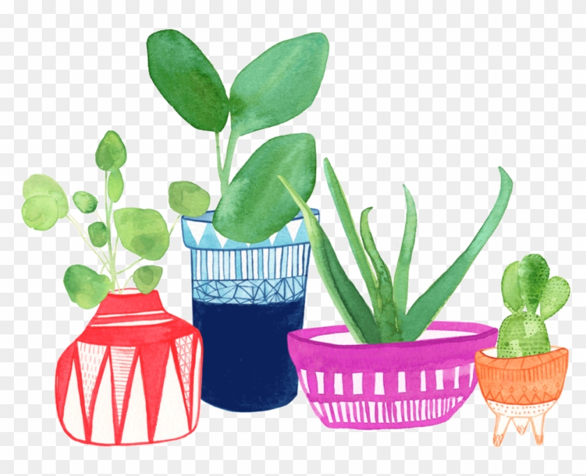 Plant Pots Succulent Clipart #1170094
