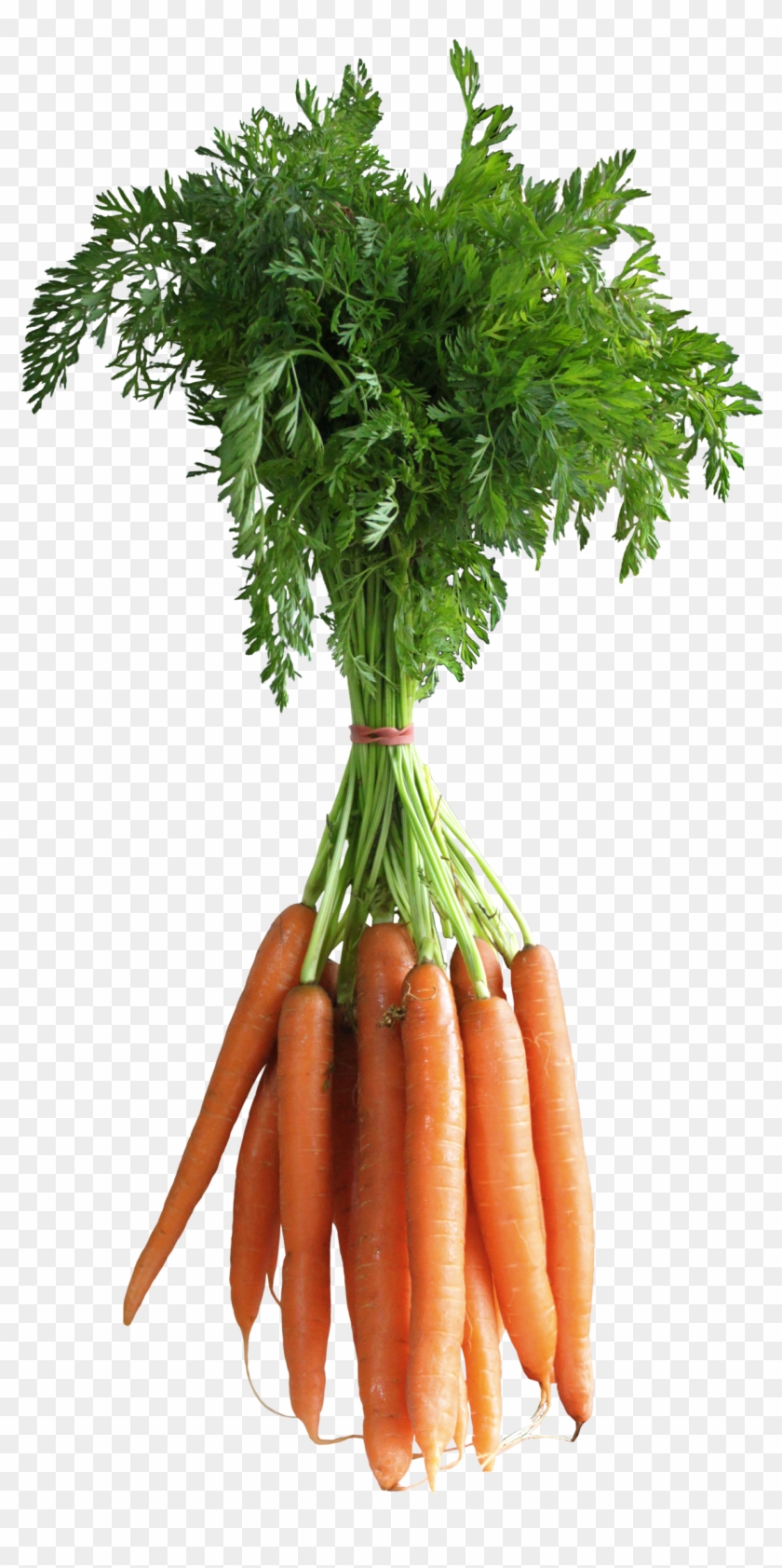 20 Incredible Carrot Vegetables Clipart - Carrots Png #1170159