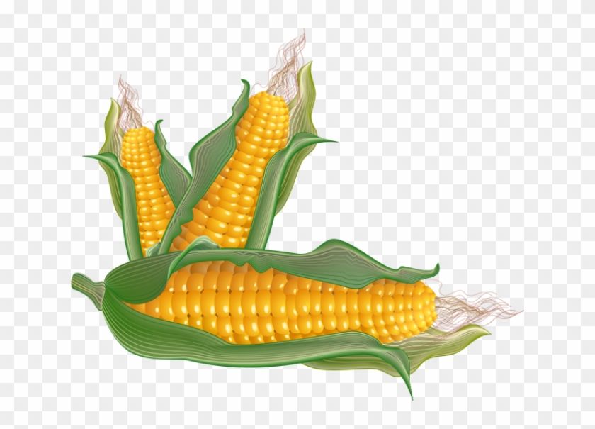 Corn - Clipart - Corn Salad Clip Art #1170219
