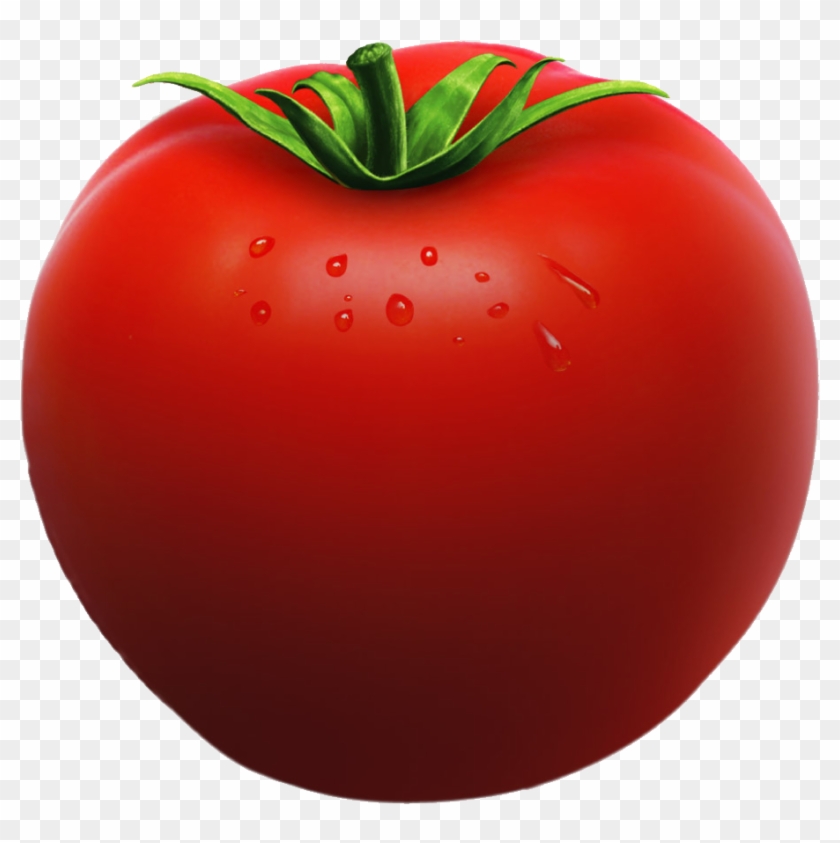Tomato Clipart One - Tomato Seeds 120 Seeds Organic Vegetable Seeds #1170258