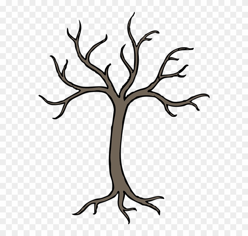 Tree, Winter, Grey, Perennial, Dried, No Leaves - Tree With Branches Drawing #1170296