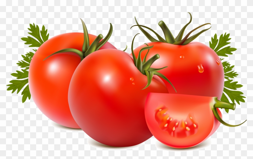 Tomato Slice Clipart Download - Tomato Png #1170312