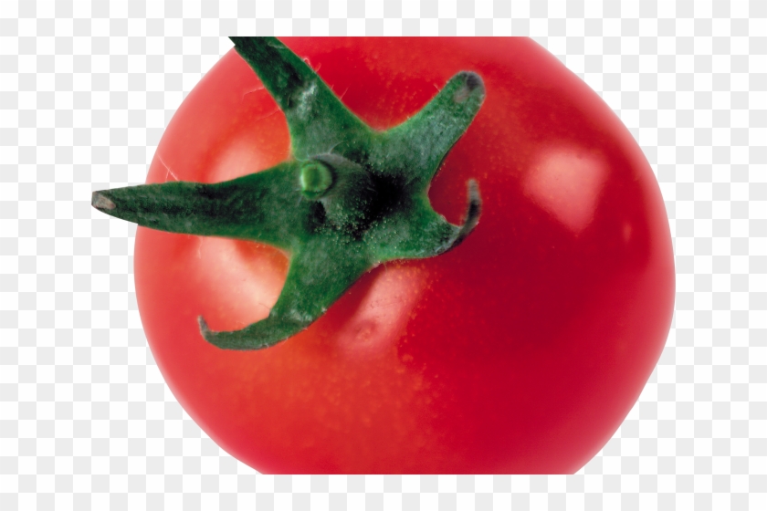 Tomato Clipart One - Tomate Groß, 3 Zoll-runder Magnet Runder Magnet 7,6 #1170318