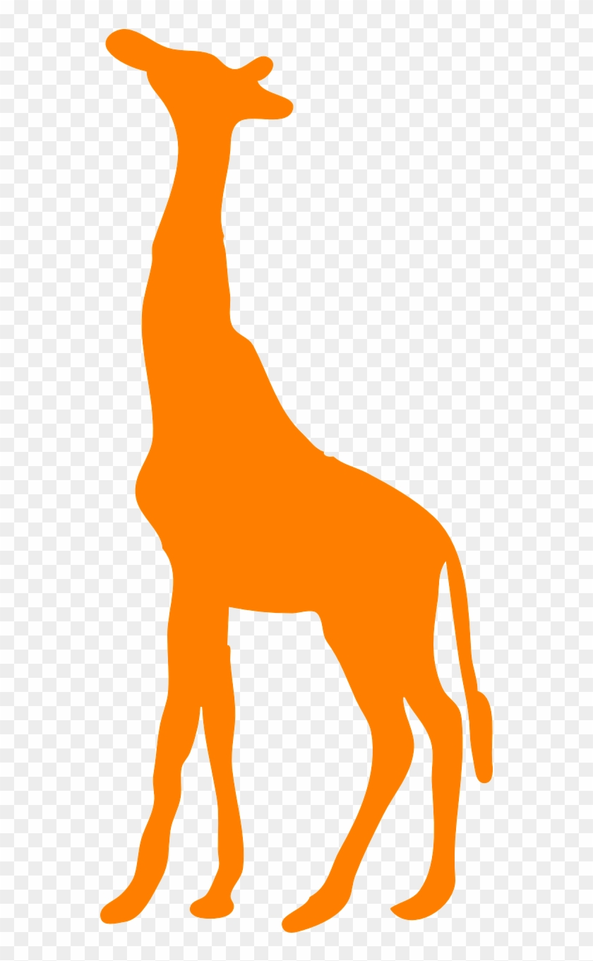 Giraffe Animal Mammal Silhouette Png Image - Giraffe Shape #1170835