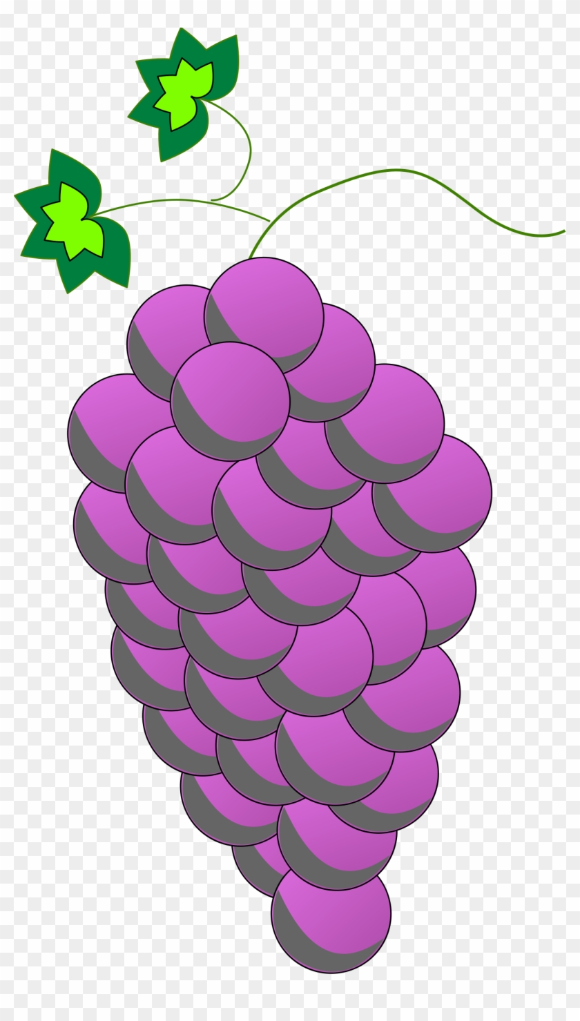 Big Image - Viuolet Grapes Clipart #1171372