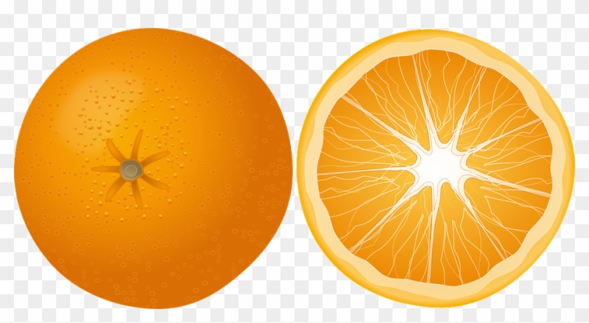 Orange Clipart Vector - Orange Slice Vector Png #1171488