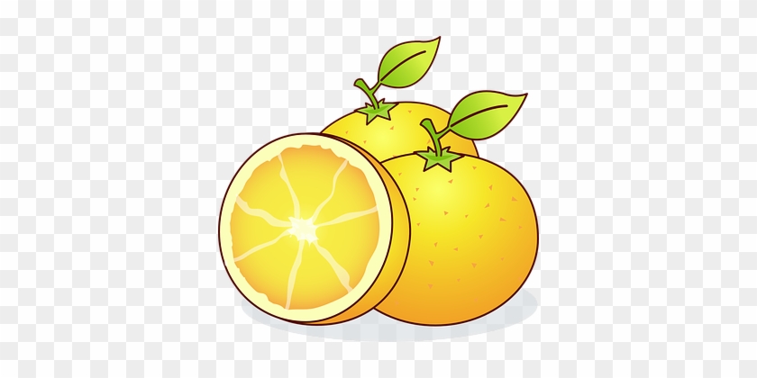 Oranges Bahia Orange Citrus Sinensis Citru - Desenhos De Laranja #1171531
